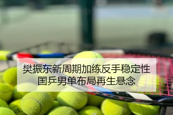 樊振东新周期加练反手稳定性 国乒男单布局再生悬念